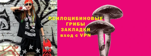 сатива Нягань